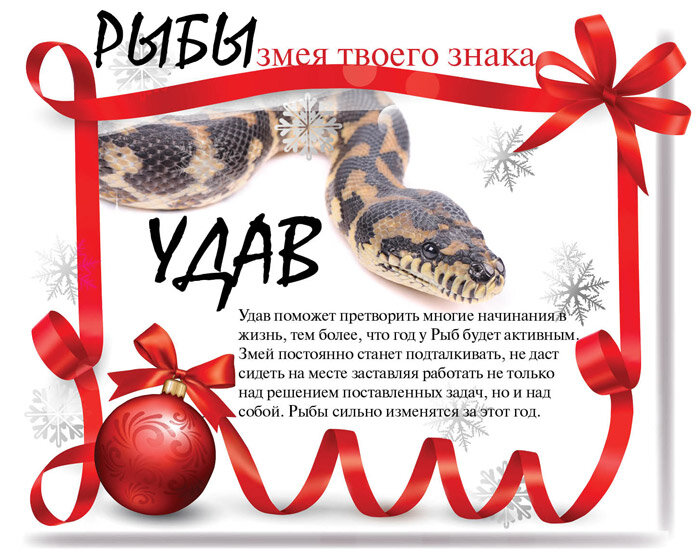 Прошлый год змеи был в каком. Год змеи гороскоп. Змеи по месяцам рождения. Годы змеи по гороскопу.